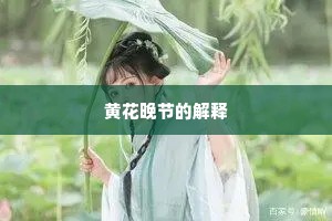 黄花晚节的解释