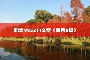 励志985211文案（通用8篇）