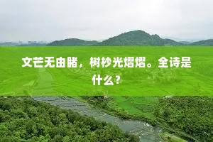 文芒无由睹，树杪光熠熠。全诗是什么？