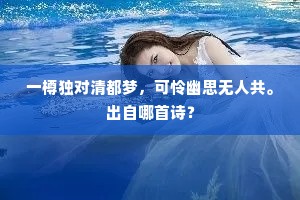 一樽独对清都梦，可怜幽思无人共。出自哪首诗？