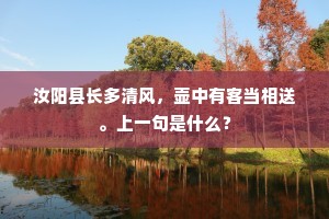 汝阳县长多清风，壶中有客当相送。上一句是什么？