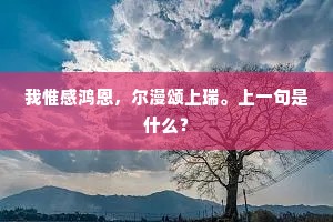 我惟感鸿恩，尔漫颂上瑞。上一句是什么？