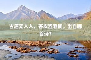 古庙无人入，苍皮涩老桐。出自哪首诗？