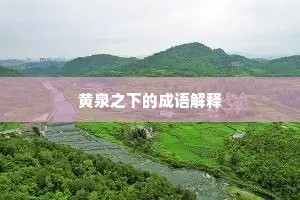 黄泉之下的成语解释