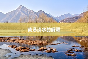 黄汤淡水的解释