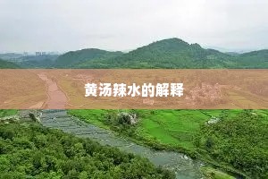黄汤辣水的解释