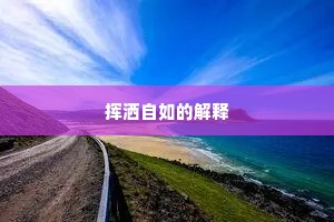 挥洒自如的解释