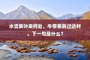 水流黄叶来何处，牛带寒鸦过远村。下一句是什么？