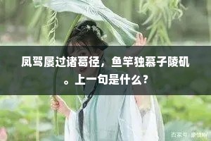 凤驾屡过诸葛径，鱼竿独慕子陵矶。上一句是什么？