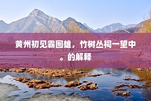 黄州初见霸图雄，竹树丛祠一望中。的解释