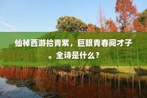 仙棹西游拾青紫，巨眼青春阅才子。全诗是什么？