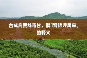 台成禽荒鸩毒甘，醉甿臂锦呼鹰来。的释义