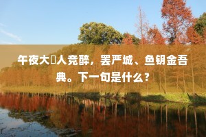 午夜大酺人竞醉,罢严城、鱼钥金吾典。下一句是什么? 午夜大酺人竞醉,罢严城、鱼钥金吾典。下一句是什么?