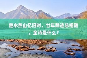 楚水燕山忆旧时，廿年踪迹总相随。全诗是什么？