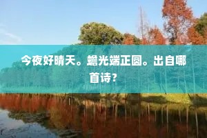 今夜好晴天。蟾光端正圆。出自哪首诗？