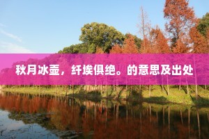 秋月冰壶,纤埃俱绝。的意思及出处 秋月冰壶,纤埃俱绝。的意思及出处