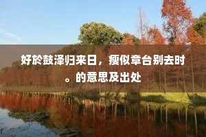 好於鼓泽归来日，瘦似章台别去时。的意思及出处