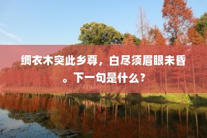 绸衣木突此乡尊，白尽须眉眼未昏。下一句是什么？