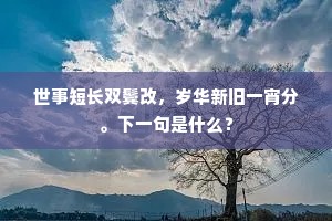 世事短长双鬓改,岁华新旧一宵分。下一句是什么? 世事短长双鬓改,岁华新旧一宵分。下一句是什么?
