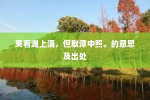 莫看滩上涌，但取潭中照。的意思及出处