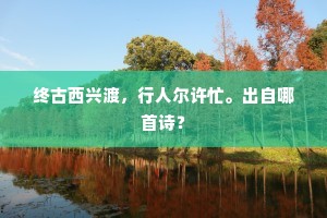 终古西兴渡，行人尔许忙。出自哪首诗？
