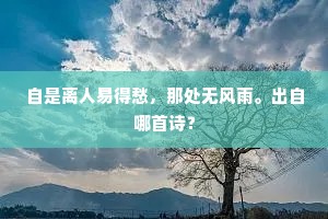 自是离人易得愁，那处无风雨。出自哪首诗？