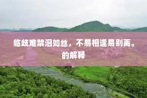 临歧难禁泪如丝，不易相逢易别离。的解释