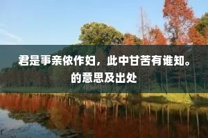 君是事亲侬作妇，此中甘苦有谁知。的意思及出处