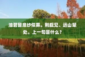 油碧窗扉纱似雾。刚觑见、远山颦处。上一句是什么？