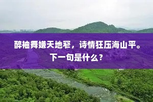 醉袖舞嫌天地窄，诗情狂压海山平。下一句是什么？
