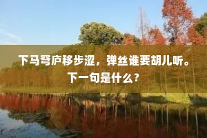 下马穹庐移步涩，弹丝谁要胡儿听。下一句是什么？