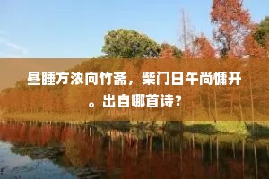 昼睡方浓向竹斋，柴门日午尚慵开。出自哪首诗？