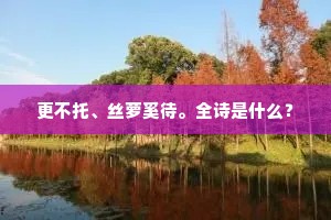 更不托、丝萝奚待。全诗是什么？