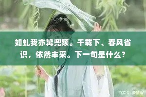 如虬我亦髯兜颏。千载下、春风省识，依然丰采。下一句是什么？