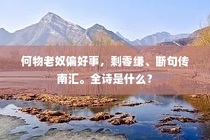 何物老奴偏好事，剩零缣、断句传南汇。全诗是什么？