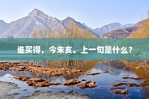 谁买得，今朱亥。上一句是什么？