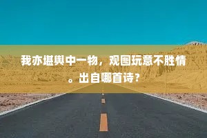 我亦堪舆中一物，观图玩意不胜情。出自哪首诗？