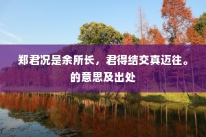 郑君况是余所长，君得结交真迈往。的意思及出处