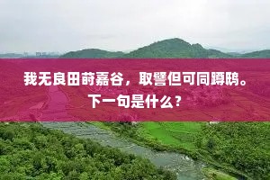 我无良田莳嘉谷，取譬但可同蹲鸱。下一句是什么？
