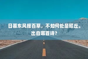 日暮东风摇百草，不知何处是昭丘。出自哪首诗？