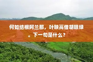 何如结根阿兰那，叶映高僧胡眼绿。下一句是什么？