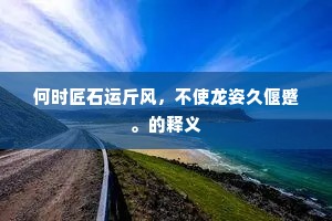 何时匠石运斤风，不使龙姿久偃蹙。的释义