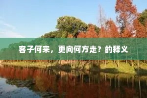 客子何来，更向何方走？的释义
