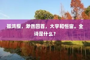 孤鸿瘦，渺然回首，大宇和恒宙。全诗是什么？