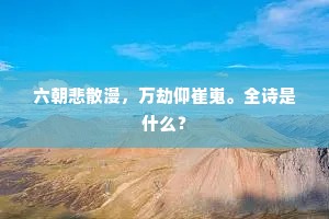 六朝悲散漫，万劫仰崔嵬。全诗是什么？