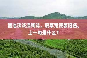 墨池淡淡流残沈，蕺草荒荒袭旧名。上一句是什么？