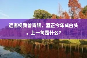 远斋视我曾青眼，酒正今年成白头。上一句是什么？