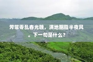 芳菲零乱春光晚，满地胭脂半夜风。下一句是什么？