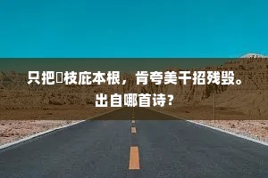 只把樛枝庇本根，肯夸美干招残毁。出自哪首诗？