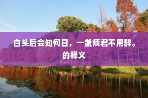白头后会知何日，一盏烦君不用辞。的释义